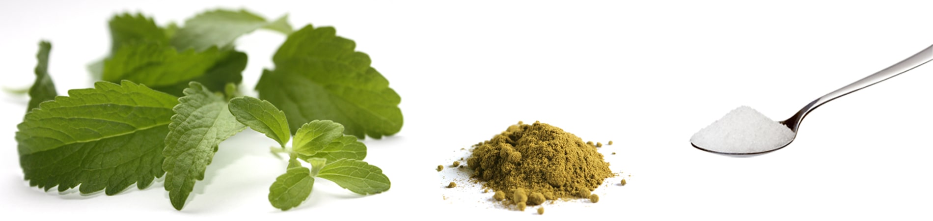 stevia group blaetter home