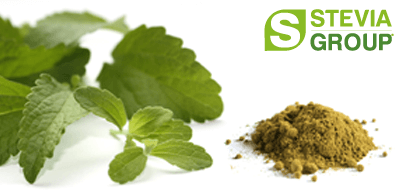stevia_group stevia blaetter