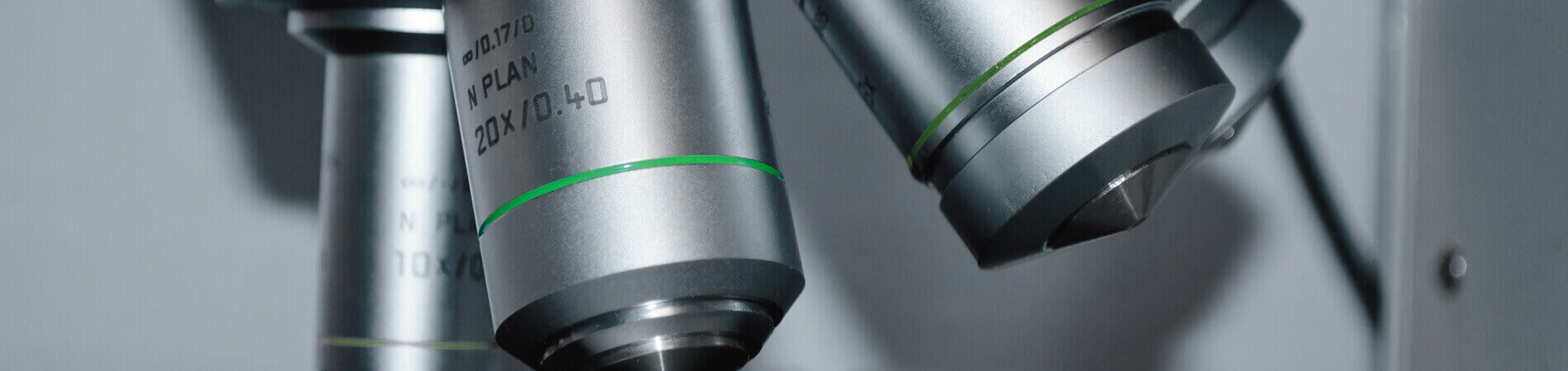 The quality of the stevia raw materials determines the good taste of the products. The quality of the stevia raw materials determines the good taste of the products.