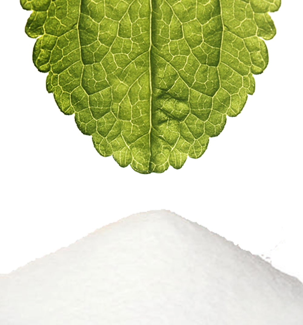 Stevia Blatt und weisses Stevia Extrakt Pulver Steviaolglykoside Stevia Blatt und weisses Stevia Extrakt Pulver Steviaolglykoside